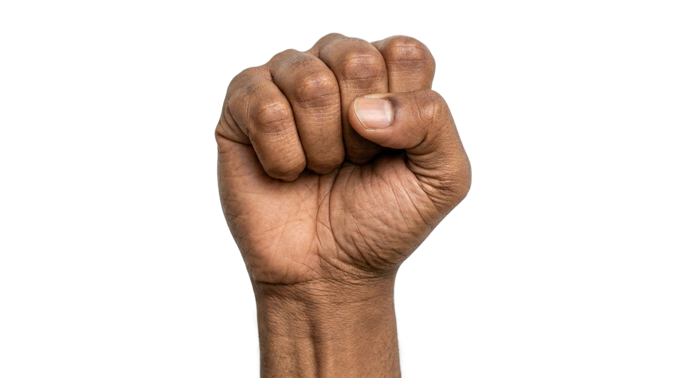 brown fist png PNG transparent background
