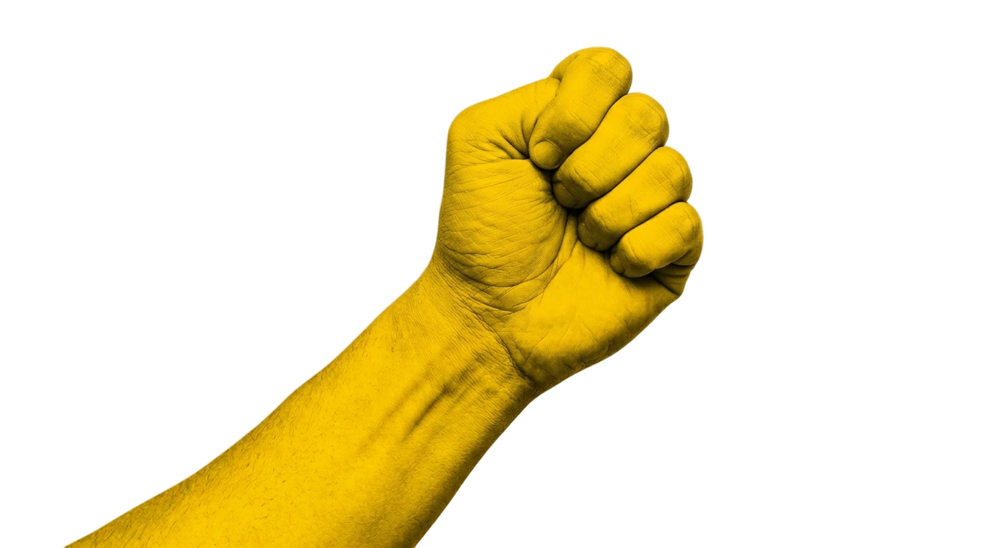 raised fist emoji png PNG transparent background