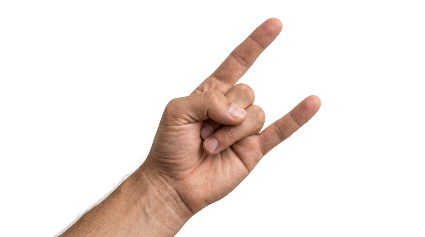 rock and roll hand sign png PNG transparent background
