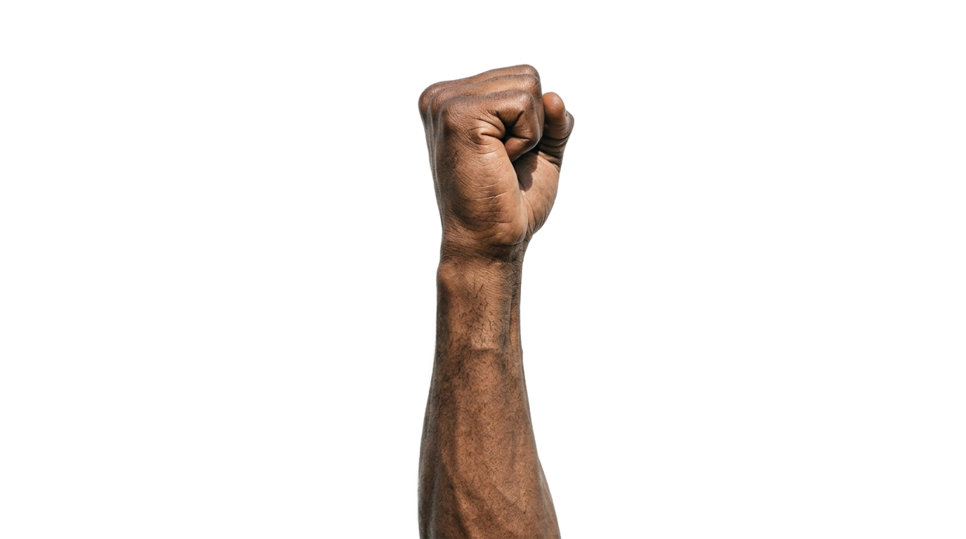 feminist fist png PNG transparent background