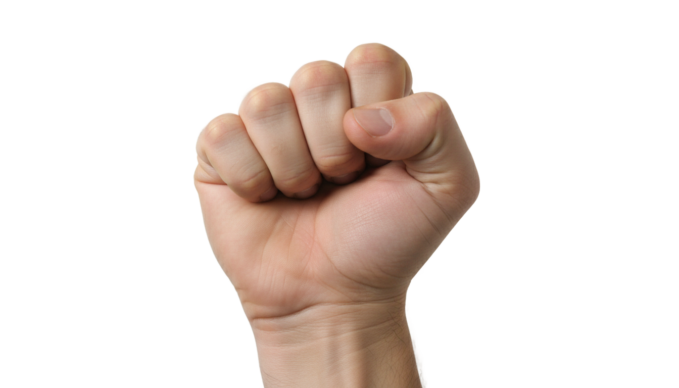 back of fist png PNG transparent background