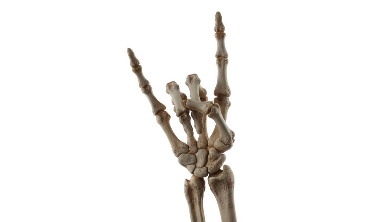 skeleton rock hand png PNG transparent background