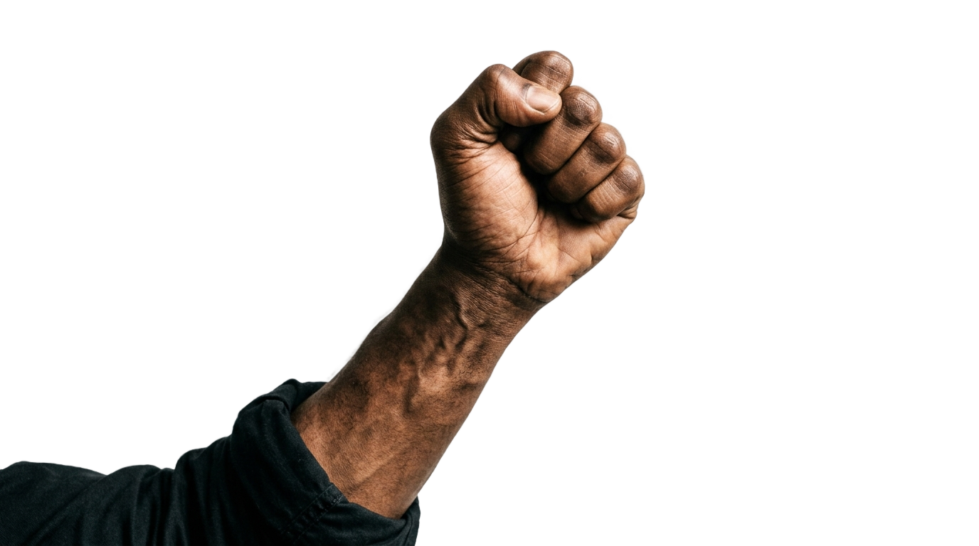 feminist fist png PNG transparent background