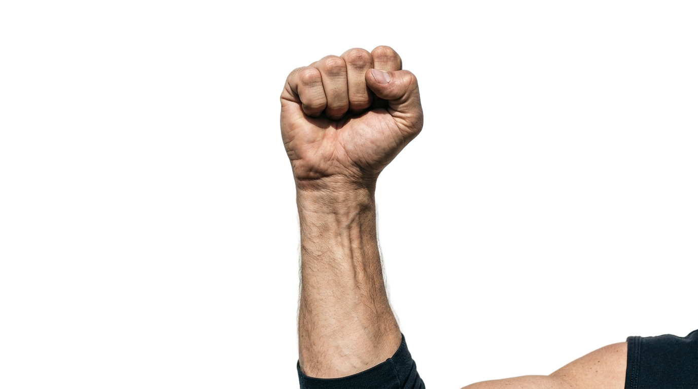 freedom fist png PNG transparent background