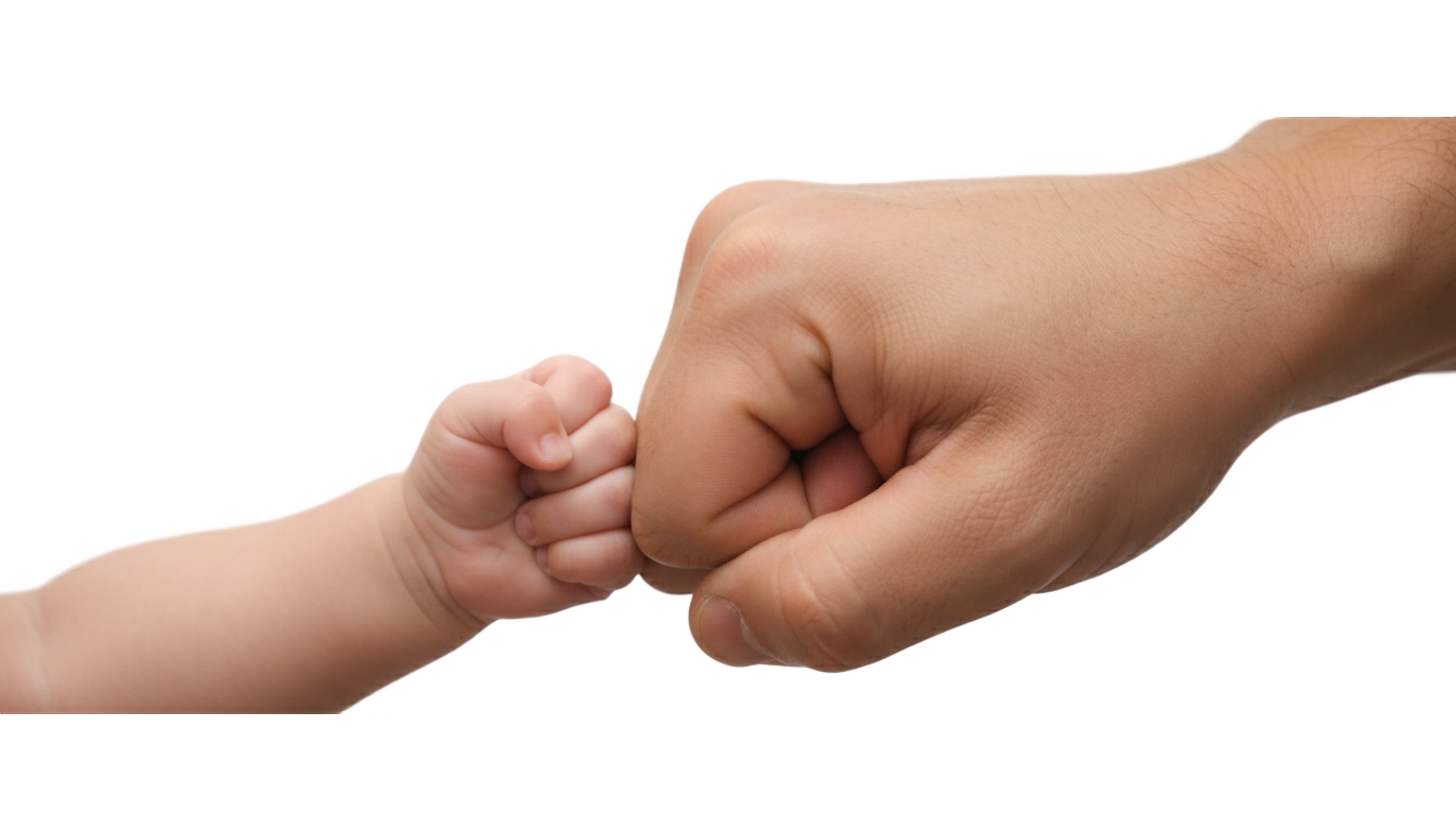 dad and baby fist bump png PNG transparent background