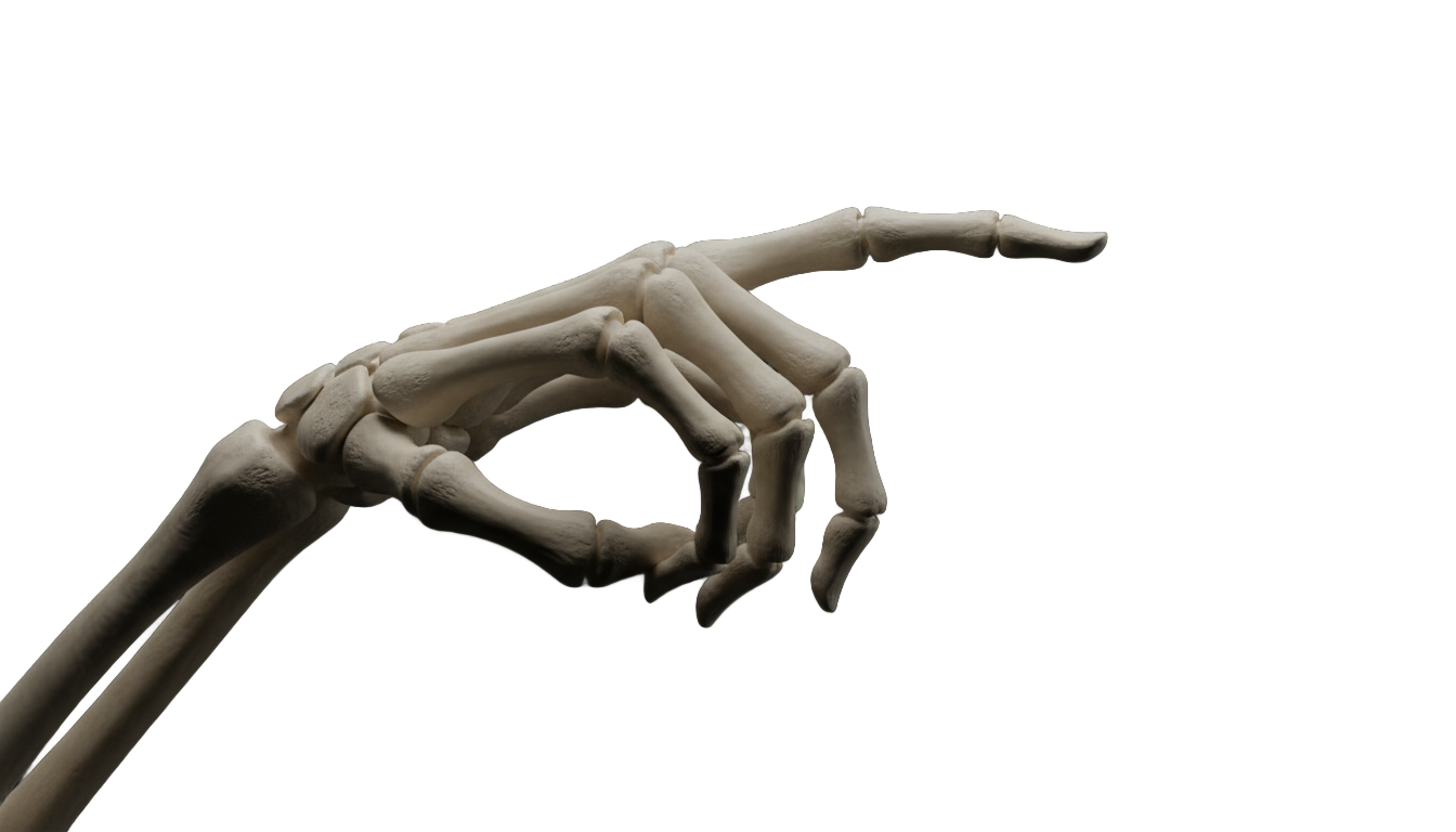 skeleton hand pointing png PNG transparent background
