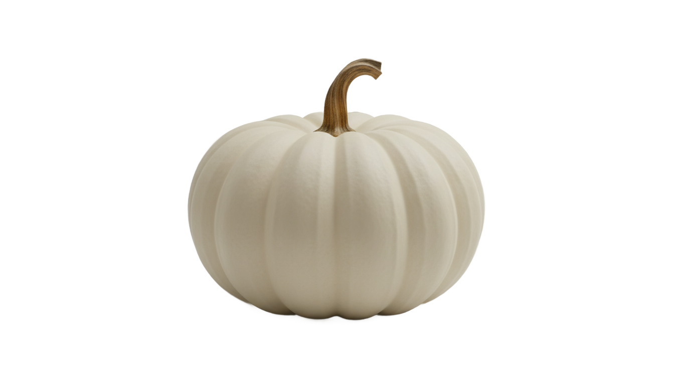 white pumpkin png PNG transparent background