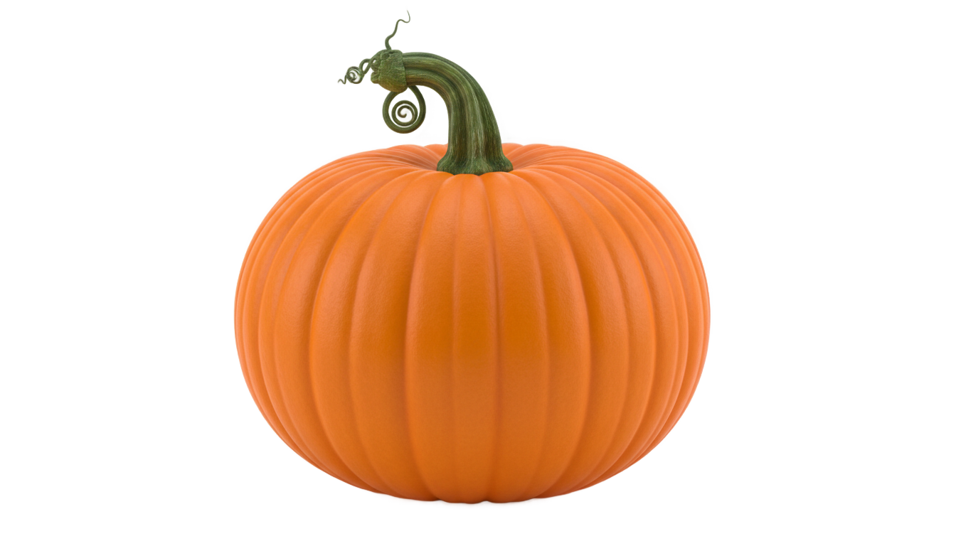 pumpkin graphic png PNG transparent background