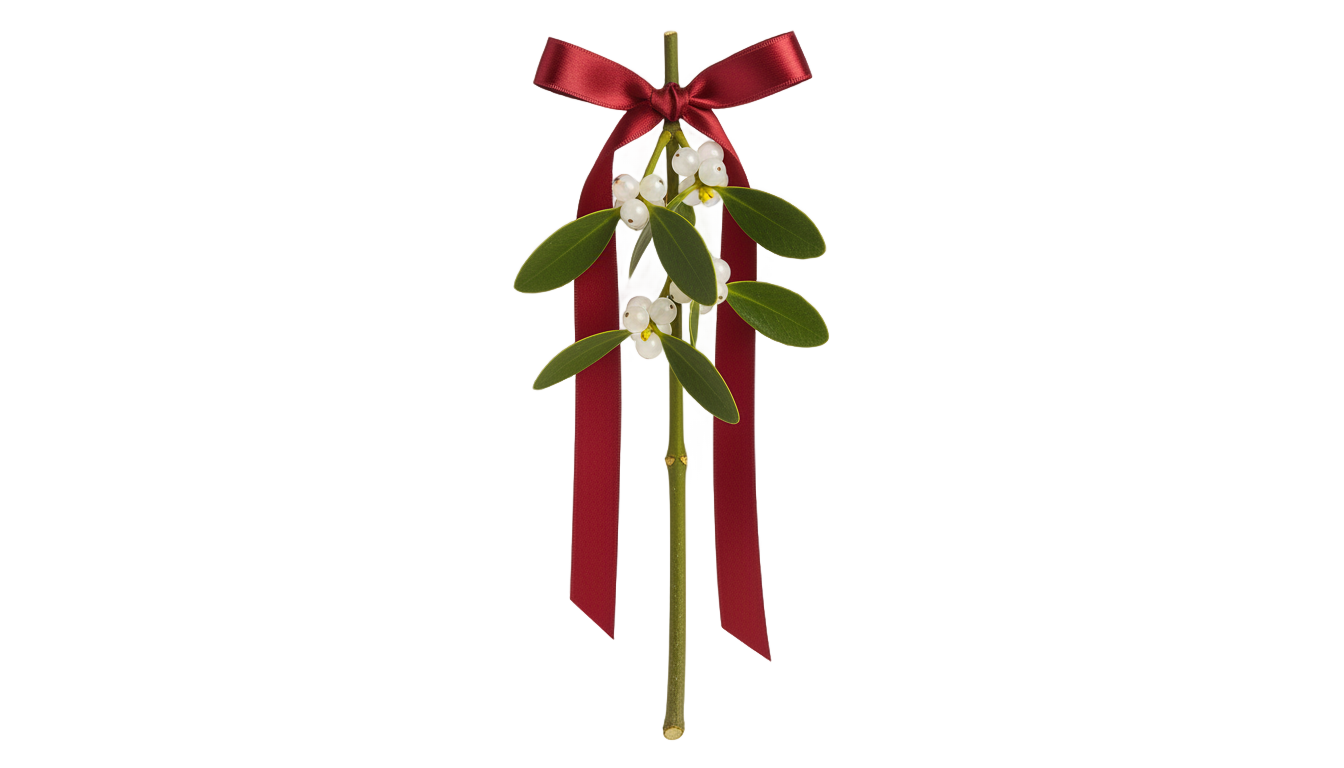 hanging mistletoe png PNG transparent background