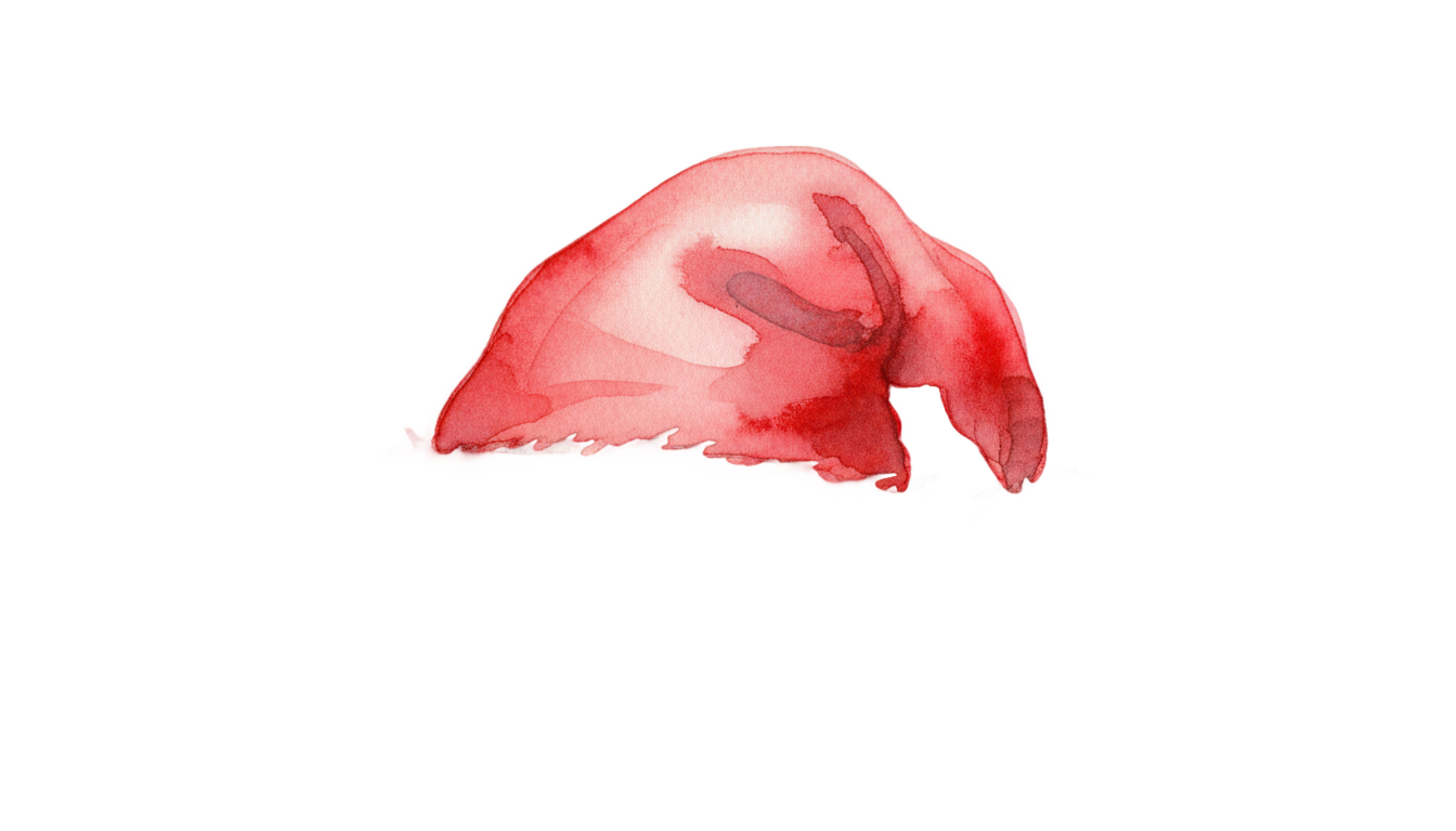 watercolor santa hat png PNG transparent background