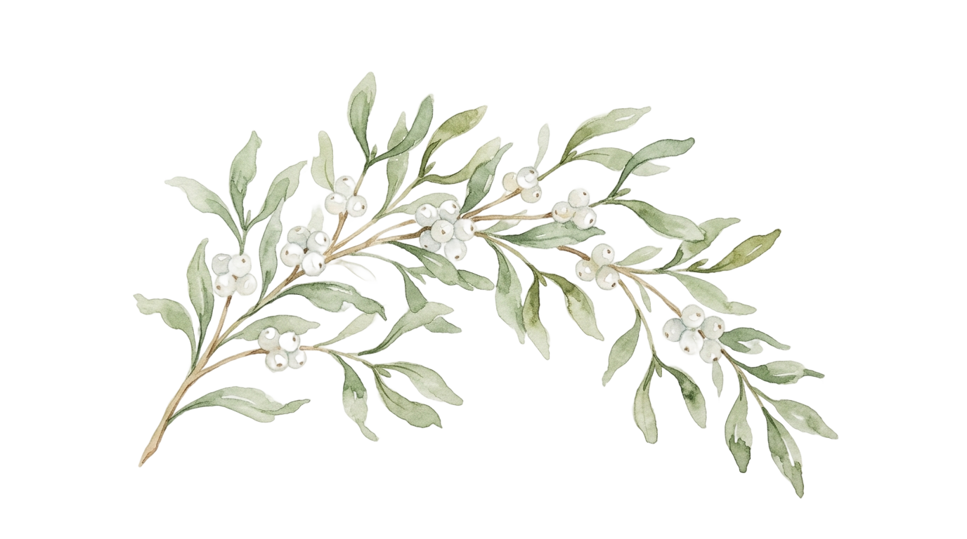 watercolor mistletoe png PNG transparent background