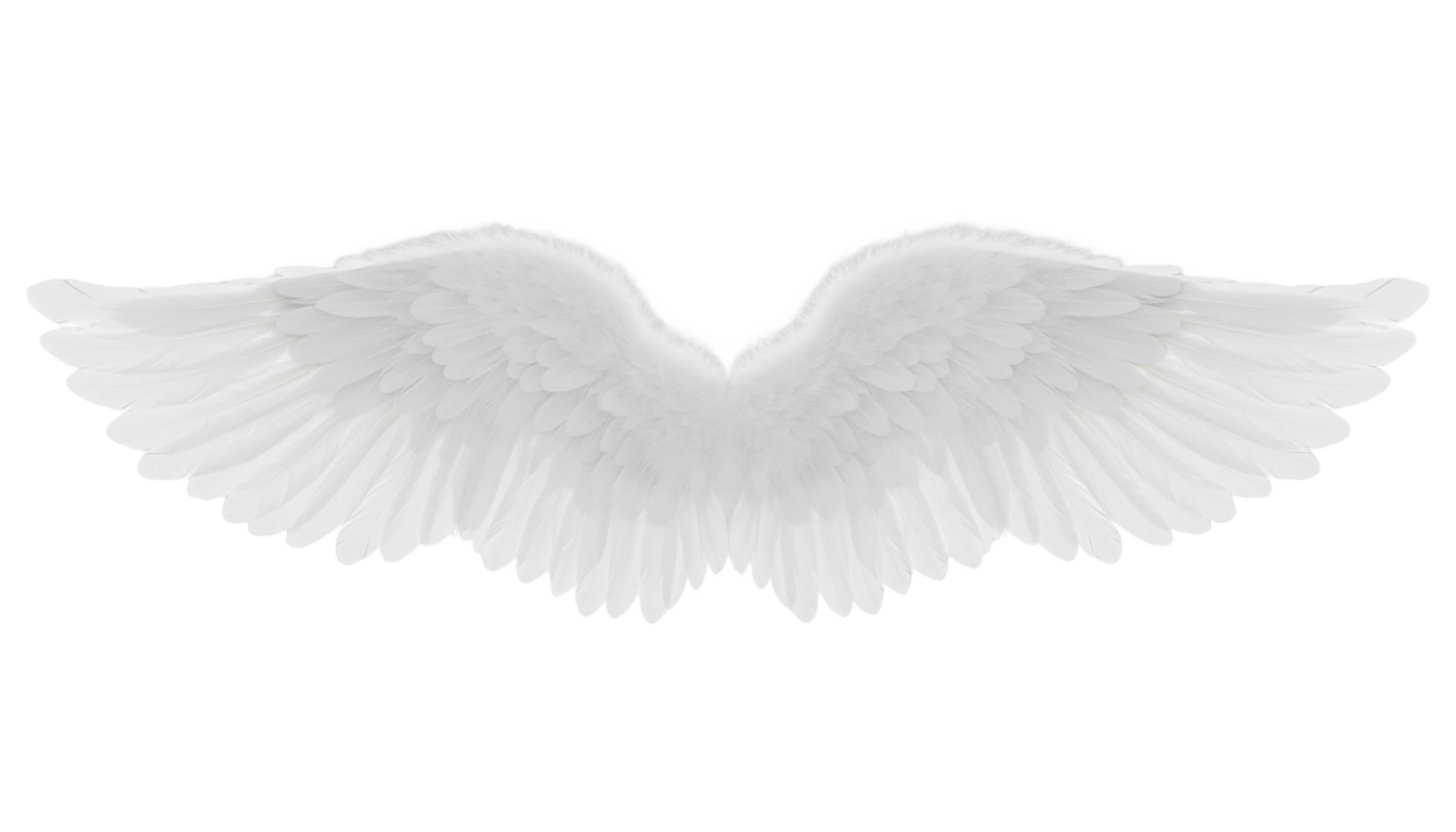 cupid wings png PNG transparent background