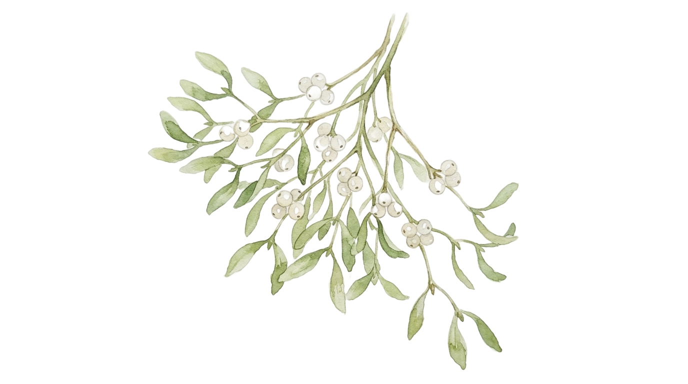 watercolor mistletoe png PNG transparent background