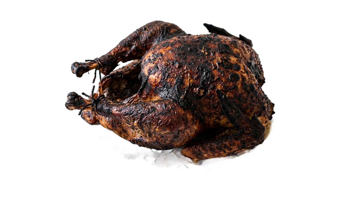 burnt turkey png PNG transparent background