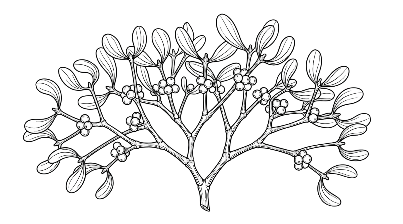 mistletoe png black and white PNG transparent background