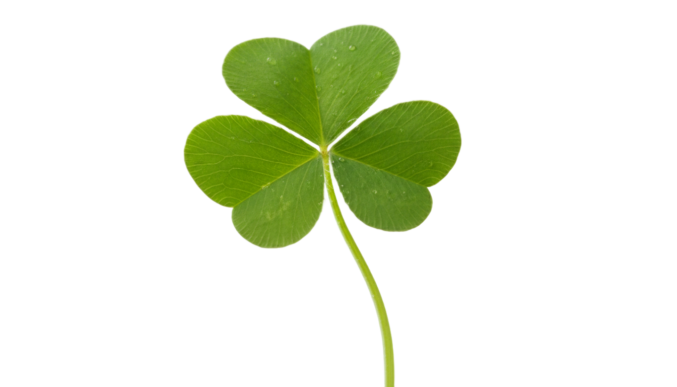 shamrock png file PNG transparent background