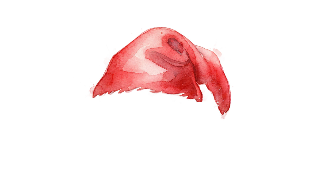 watercolor santa hat png PNG transparent background