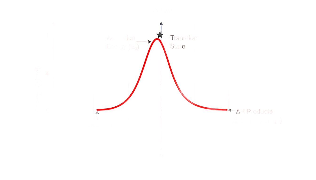 consider the following reaction energy diagram ch16 reaction diagram png PNG transparent background