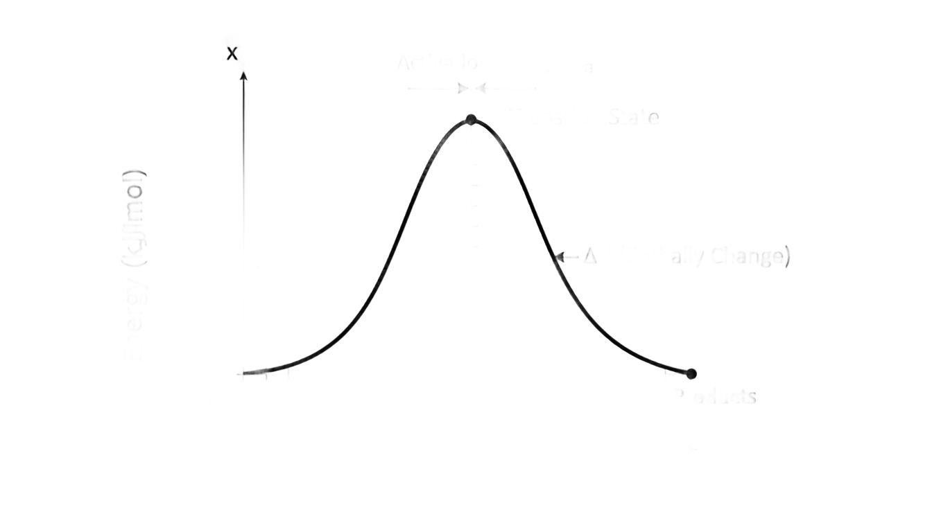 consider the following reaction energy diagram ch16 reaction diagram png PNG transparent background
