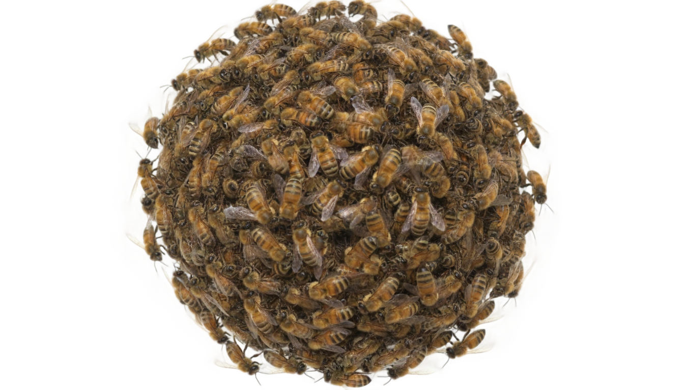 bee swarm png PNG transparent background