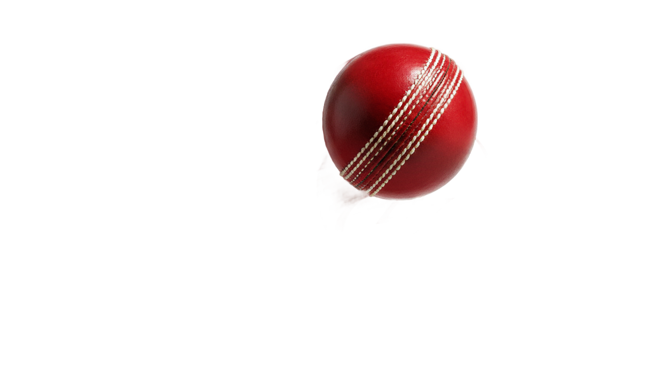 cricket bowling logo png PNG transparent background