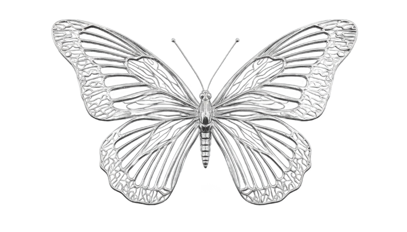 silver butterfly png PNG transparent background
