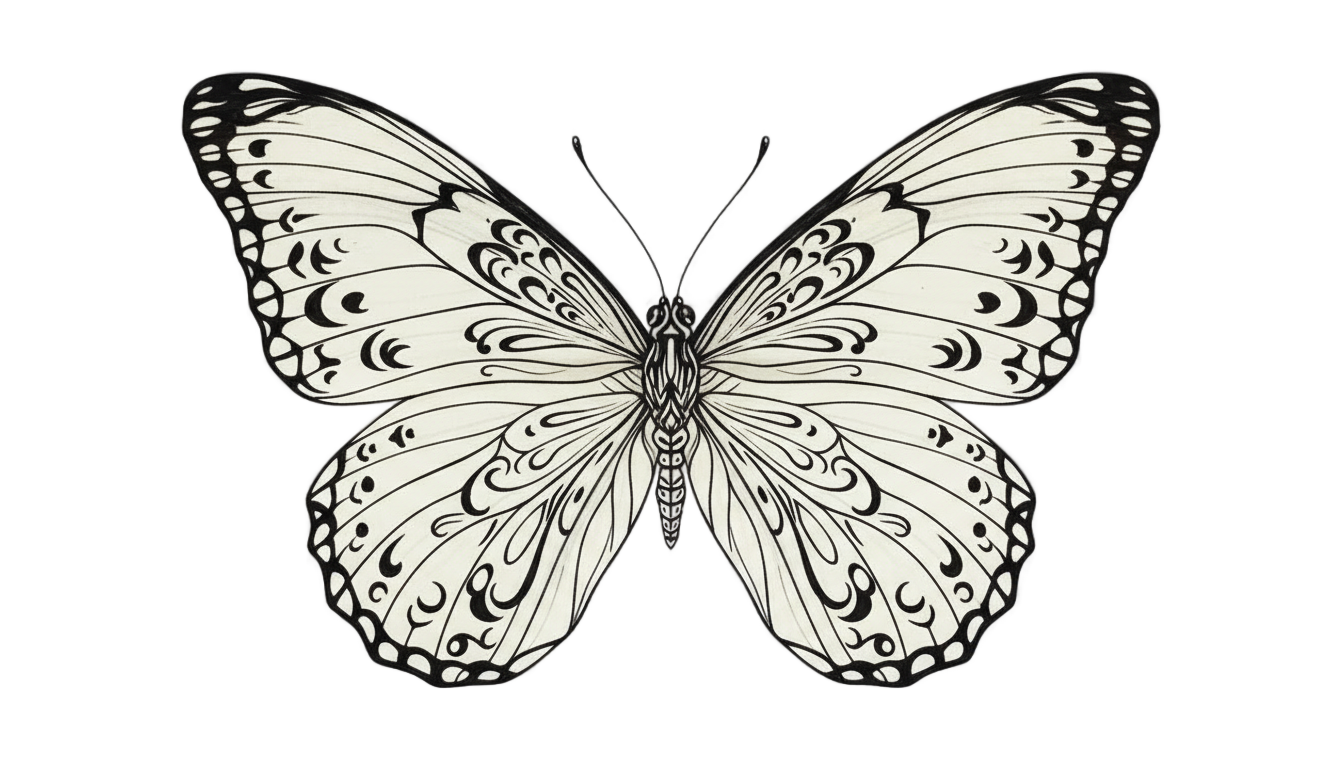 butterfly png black and white PNG transparent background