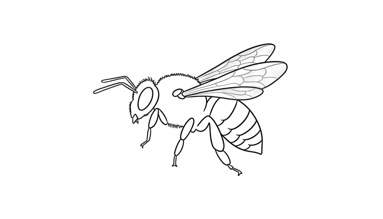 bee line art png PNG transparent background