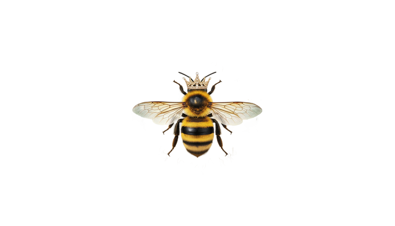 queen bee grow a garden png PNG transparent background