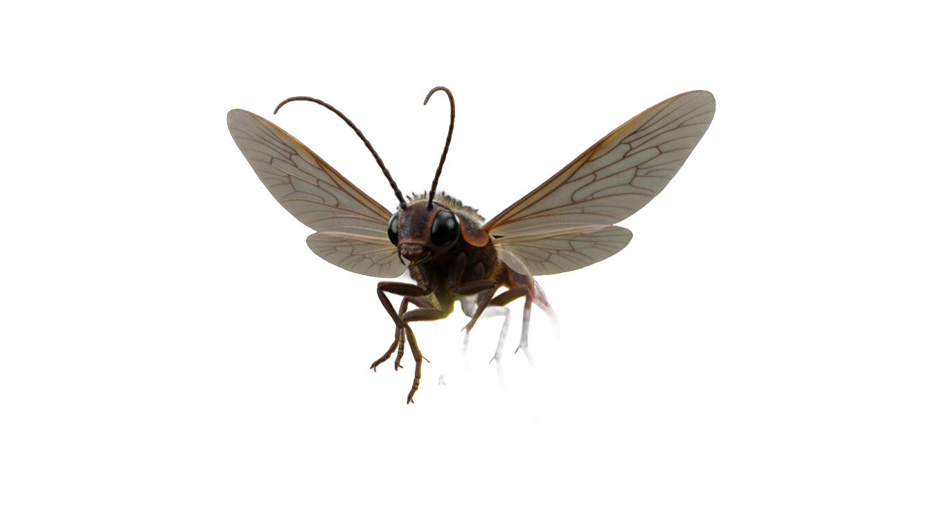 firefly hsr png PNG transparent background