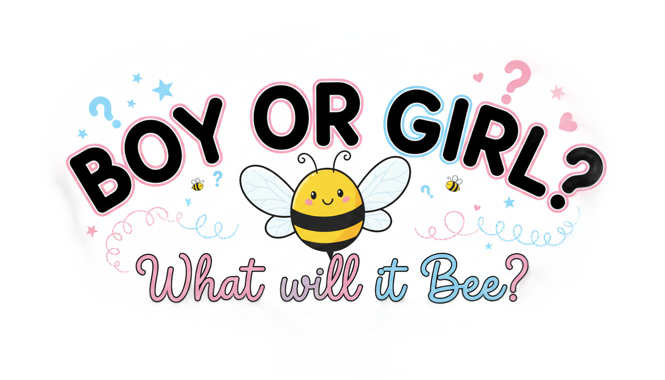 he or she what will it bee png PNG transparent background