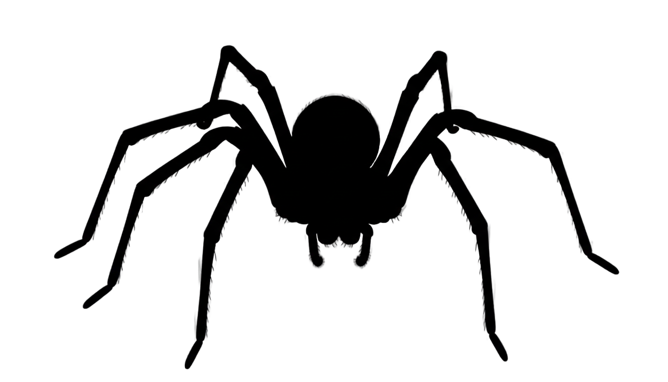 spider noir png PNG transparent background