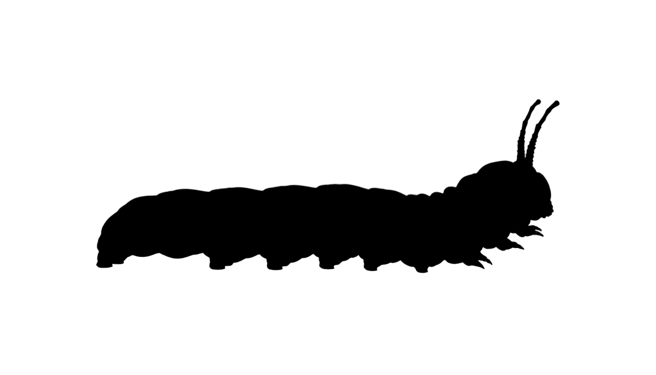 caterpillar silhouette png PNG transparent background