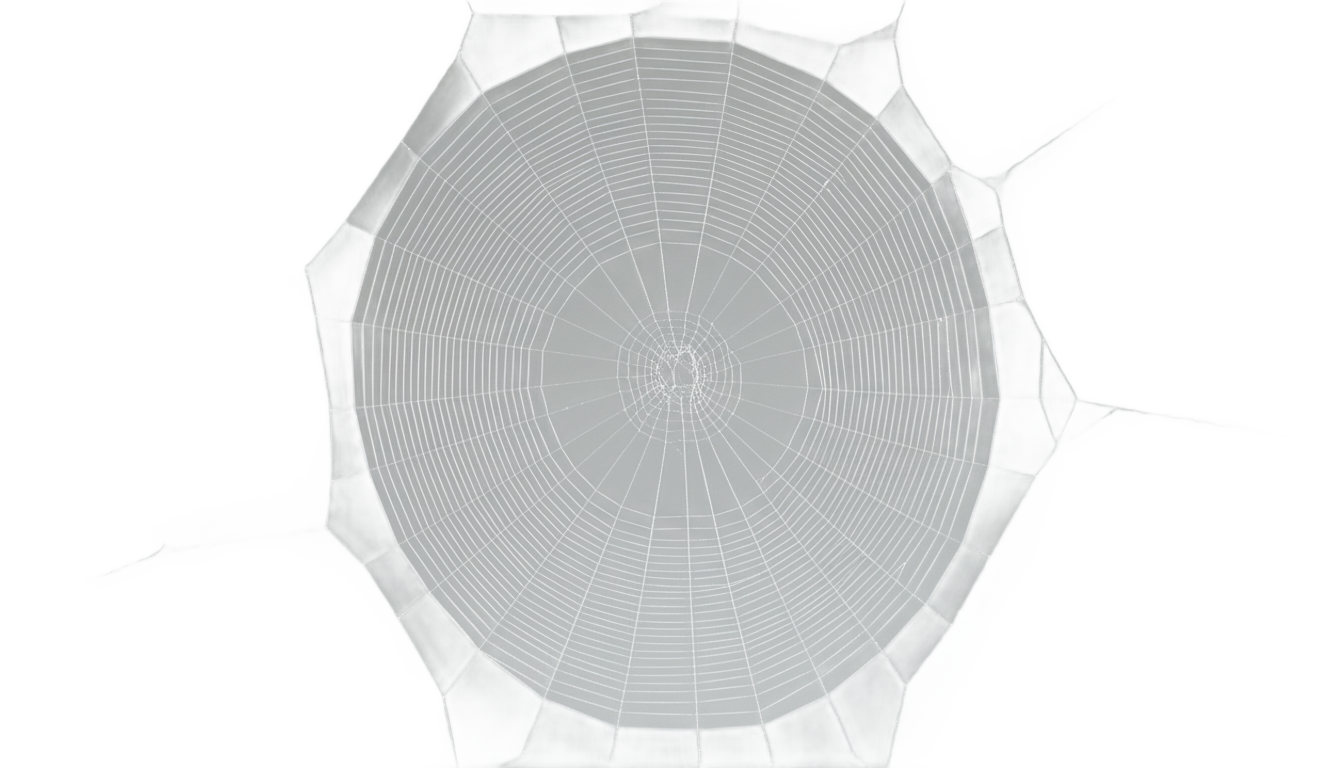 black spider web png PNG transparent background