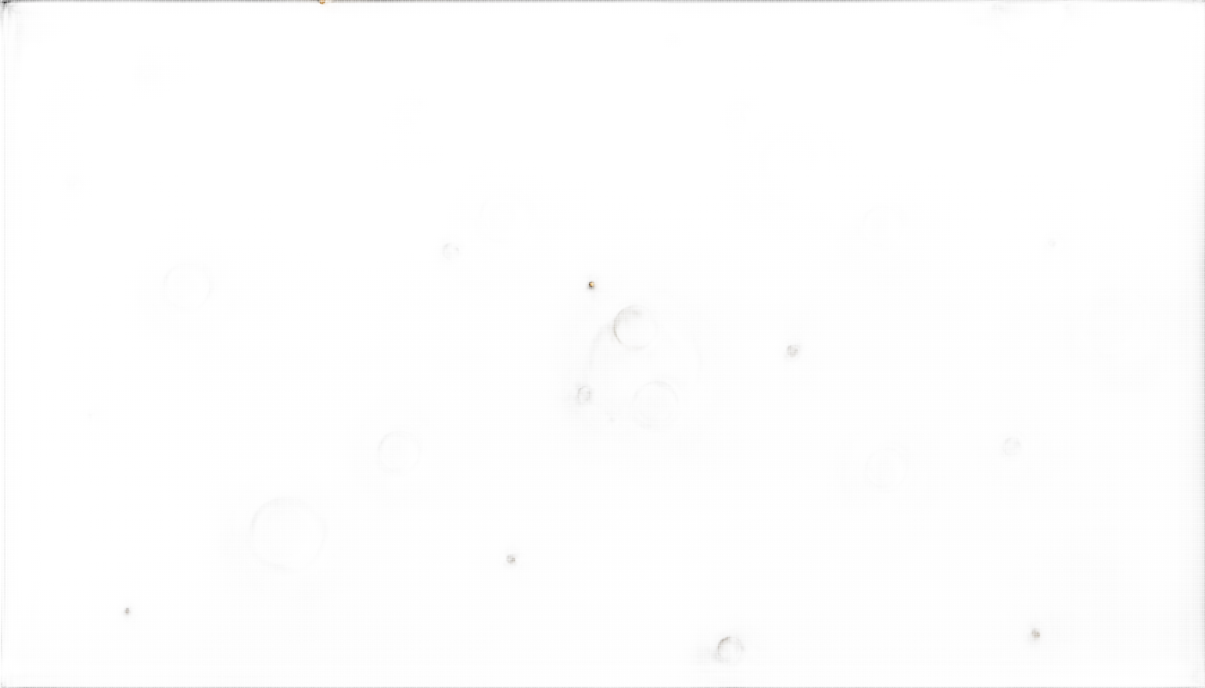 bokeh overlay png PNG transparent background