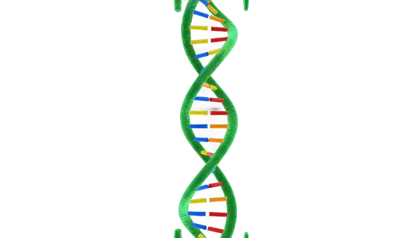 dna png green PNG transparent background
