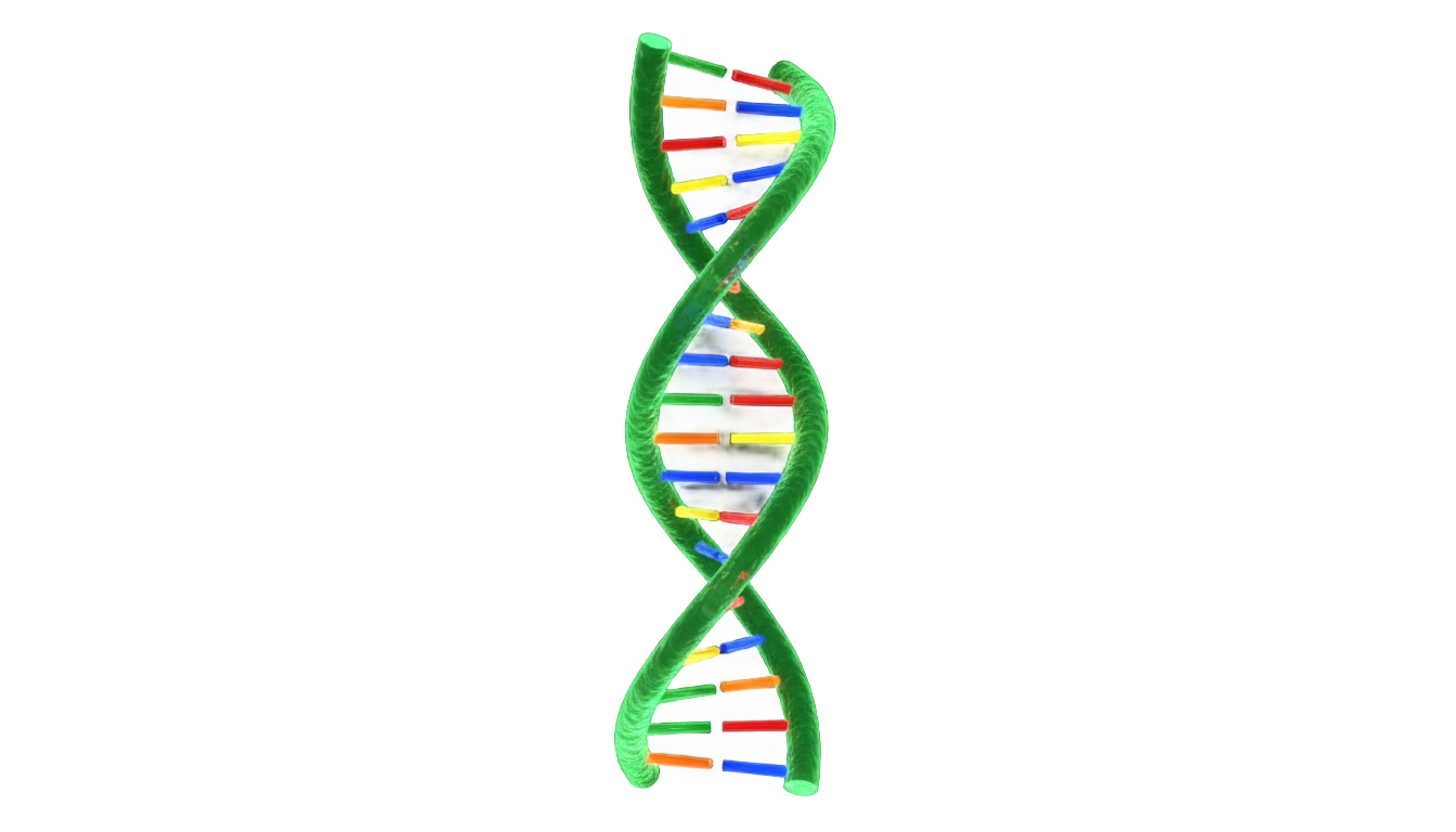 dna png green PNG transparent background
