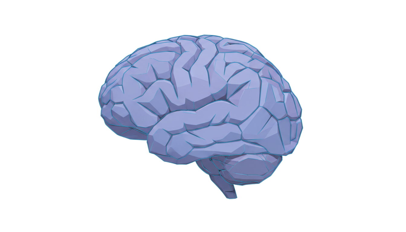human brain vector png PNG transparent background