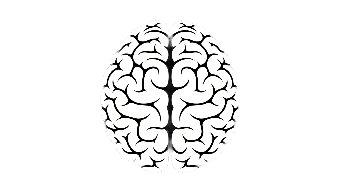 brain icon png white PNG transparent background