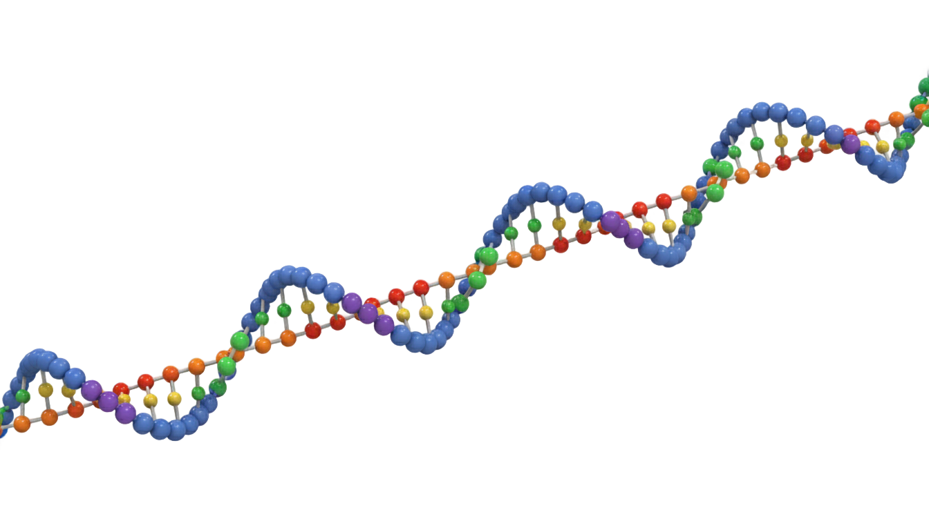 dna strand png PNG transparent background