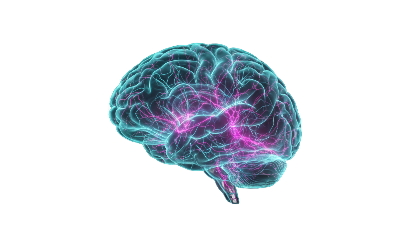 brain hologram png PNG transparent background