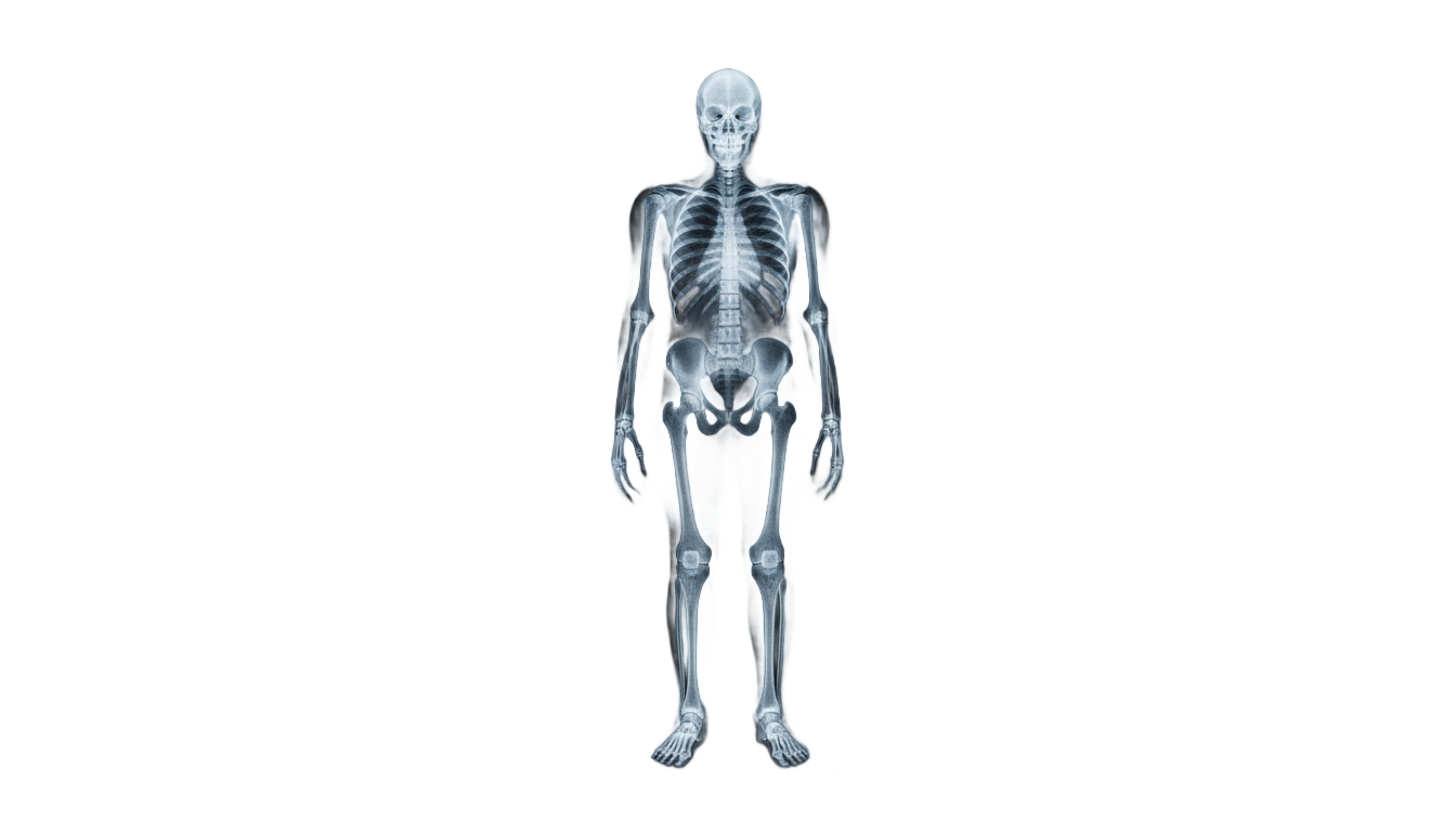 x ray clipart png PNG transparent background