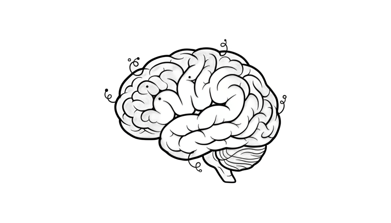 brain doodle png PNG transparent background
