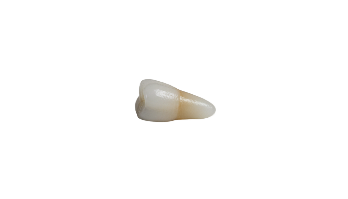 i got my first tooth png PNG transparent background
