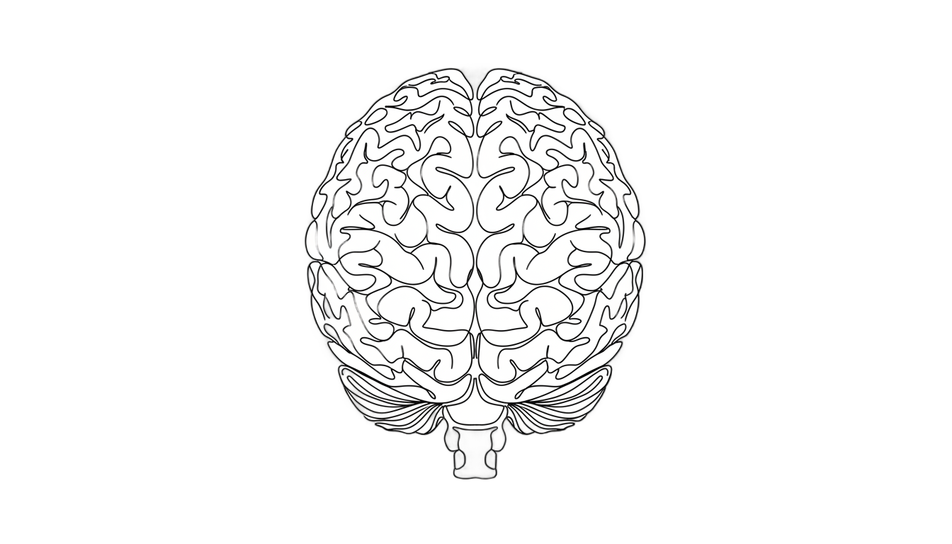 brain line art png PNG transparent background