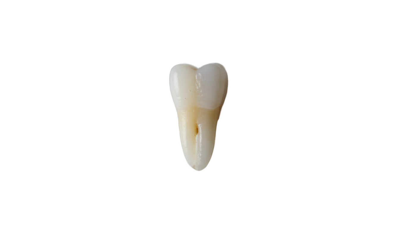 i got my first tooth png PNG transparent background