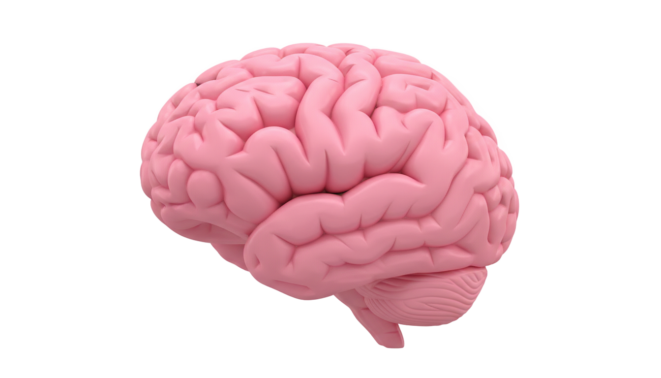 iphone brain emoji png PNG transparent background