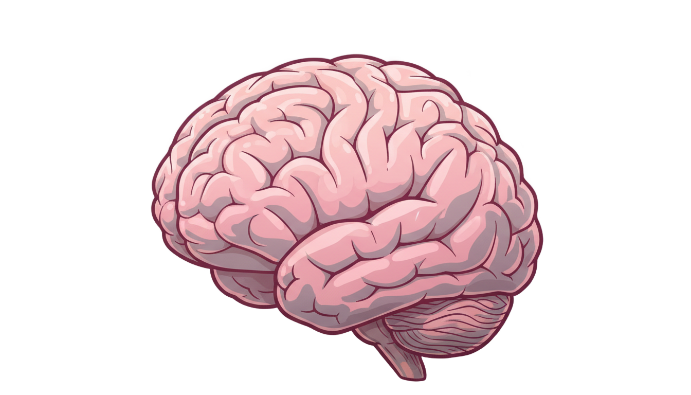 big brain png PNG transparent background