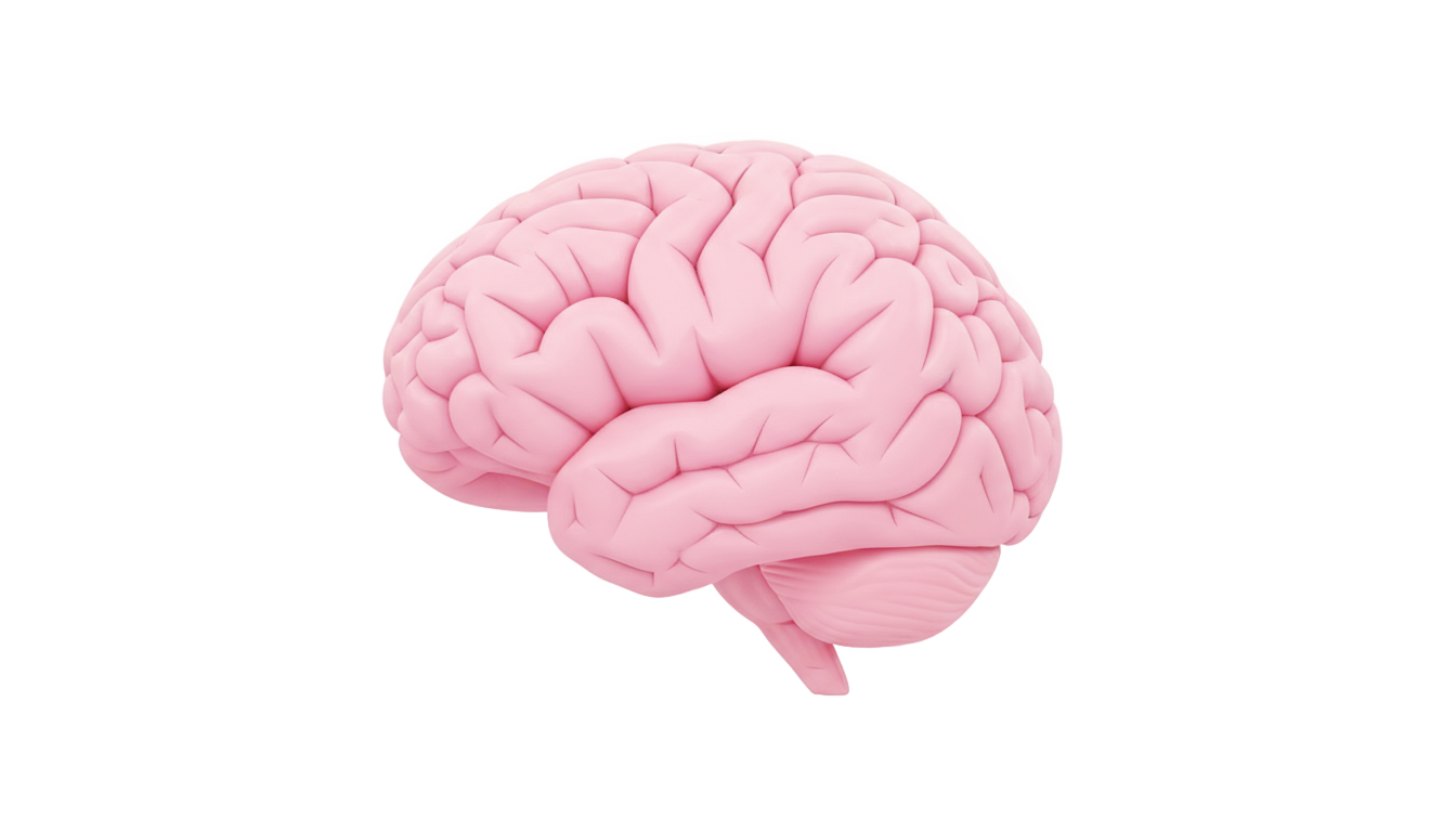 brain icon png PNG transparent background