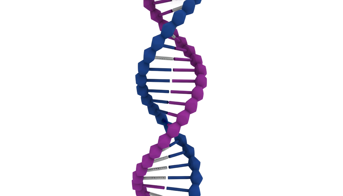 dna illustration png PNG transparent background
